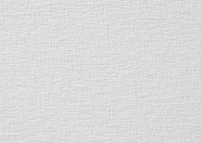 Clyde | LF | Feather