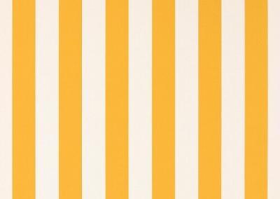 Dickson Orchestra | BS Yellow
