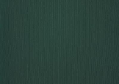 Dickson Orchestra | Larch