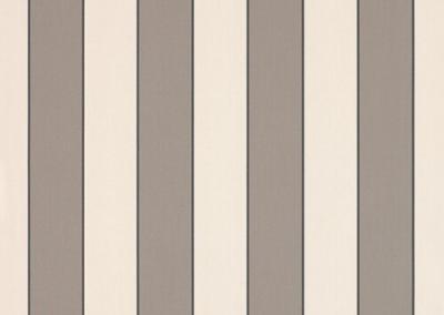 Dickson Orchestra | Sienne Beige