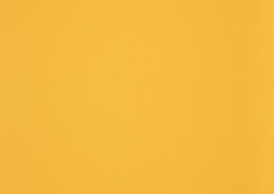 Dickson Orchestra | Yellow