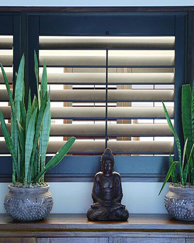 interior timber shutters