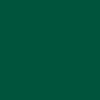 RAL 6005 RAL 6005