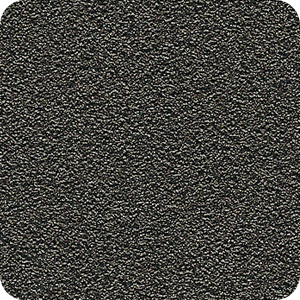 WT 029/80081 WT 029/80081